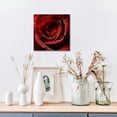 thumbnail image 6 of Fenyluxe Red Rose Water Droplets Wall Decor for Bedroom Kitchen Ready to Hang Room Home Art 12x12in, 6 of 6