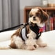 thumbnail image 4 of Vestido de noche de poliéster para mascotas, arnés con correas para el pecho con cuerda de tracción para perros y gatos, 4 of 5