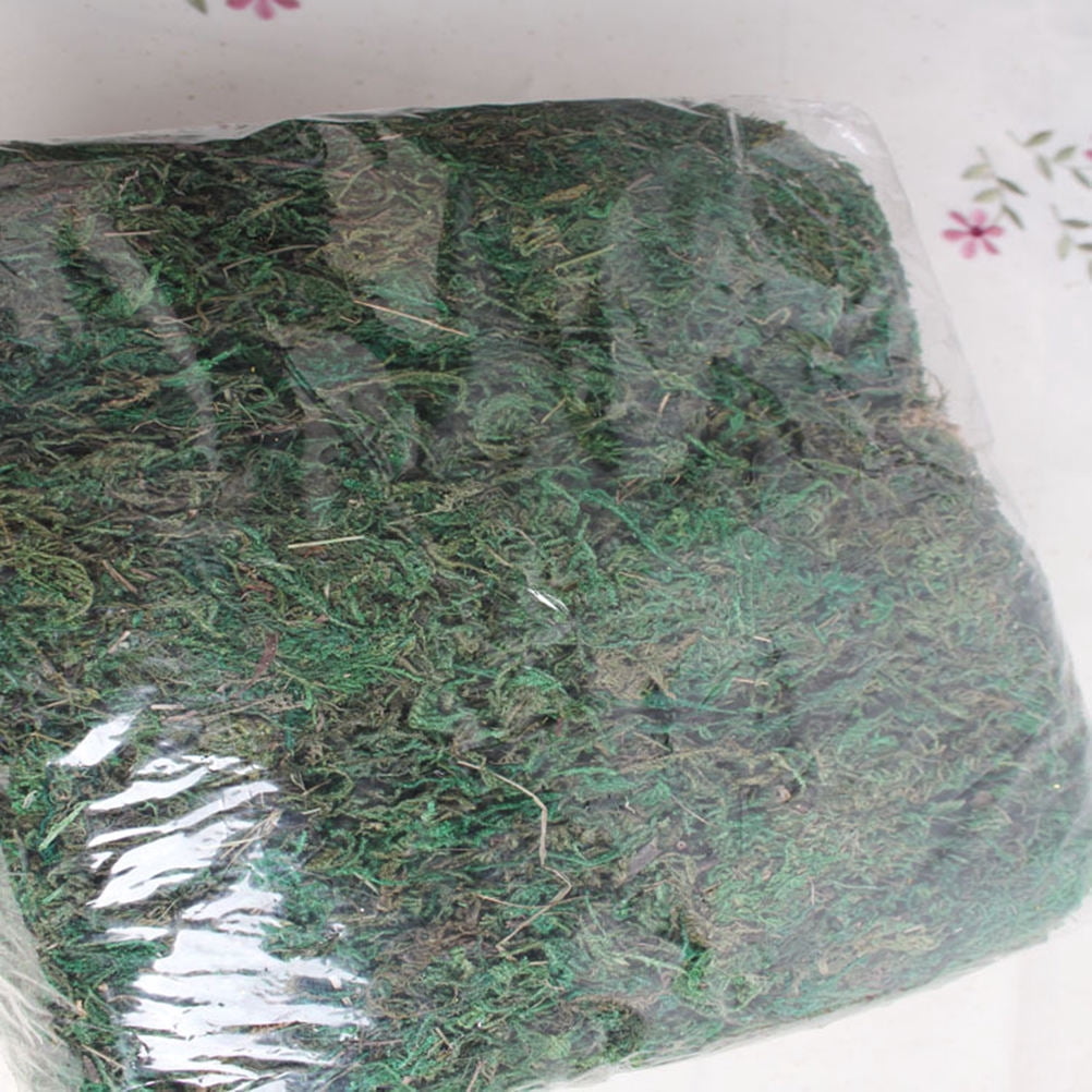 FRCOLOR Artificial Moss Craft Artificial Moss Lichen Green Synthetic Material 1Pack Relieve Eye Fatigue Kitchen
