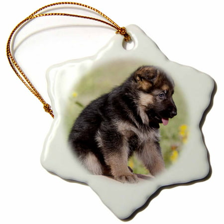 3dRose German Shepherd puppy dog - NA02 ZMU0175 - Zandria Muench Beraldo, Snowflake Ornament, Porcelain,