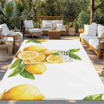 thumbnail image 3 of Fsddascl Lemon Outdoor Rug for Patio/Deck/Porch, Non-Slip Large Area Rug 5 x 8 Ft, Summer Fruit Watercolor Yellow Country Indoor Outdoor Rugs Washable Area Rugs, Reversible Camping Rug Carpet Runner, 3 of 5