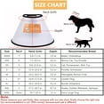 QIYADIN Plastic Pet Recovery Collars HYZ01 & Cones for and Cats After