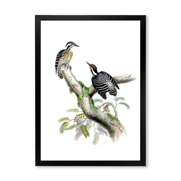 Designart 'Ancient Birds In The Wild VIII' Traditional Framed Art Print