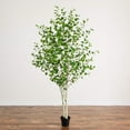 thumbnail image 5 of Nearly Natural 8ft. Artificial Birch Tree with Real Touch Leaves, 5 of 5