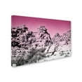 thumbnail image 2 of Trademark Fine Art 'Ombre Adventure IV' Canvas Art by Elizabeth Urquhart, 2 of 3