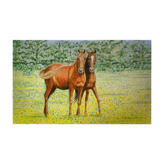 Horses Door Mat 30x50
