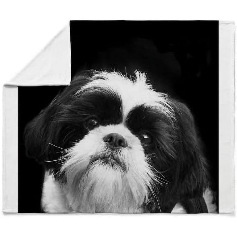 Shih best sale tzu umbrella