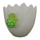 thumbnail image 1 of Contenedor de Resina con Forma de Cáscara de Huevo, Figura de Tortuga, Maceta para Flores, 1 of 9