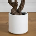 thumbnail image 4 of Nearly Natural Audrey Ficus Leaf Artificial Potted Tree - 6', 4 of 9