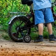 View all media