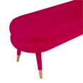 thumbnail image 4 of TOV Furniture Betty 19"H Transitional Velvet and Stainless Steel Bench in Pink, 4 of 5