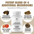thumbnail image 6 of DR. EMIL NUTRITION Elite Lion's Mane Mushroom Plus, 30 Servings, 6 of 7