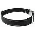 thumbnail image 4 of Country Brook Petz - Premium Reflective Nylon Dog Collar & Leash, 4 of 6