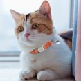 thumbnail image 3 of CBFFDC Collier pour Animaux de Compagnie Réglable Collier Doux Réfléchissant Fournitures pour Animaux de Compagnie, 3 of 6