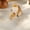 Pink, variant on Watering Tools Comic Strip Strawberry Cats Bowl Pet Feeder Non-slip Plastic Avoid-knockover Pet Bowl Cats Food Utensils