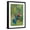 Black Frame, variant on Art.com Green Violetear (Colibri Thalassinus) Feeding, Savegre, Costa Rica Photographic Print, 12" x 18"