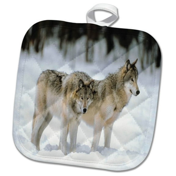 3dRose, Winter Theme Pretty Wolves, 8x8 Potholder