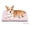 Pink, variant on City & Cuddle Washable Dog Crate Pad, 22 x 13 in Soft Dog Kennel Bed with Non-Slip Bottom, Crate Mat for Small Dogs, Puppies & Cats, Gray