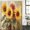 Red Orange Dark Orange Lemon Yellow, variant on Spring Sunflowers Shower Curtain Set - Standard 72" x 72" Washable Bathtub Curtain with 12 Hooks, Abstract Oil Painting Floral Leaf Plant Waterproof Fabric Stall Shower Curtains for Bathroom Décor