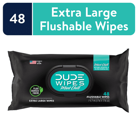 DUDE Wipes Flushable Wipes, Mint Chill XL Wet Wipes to Use with Toilet Paper, 48 Ct