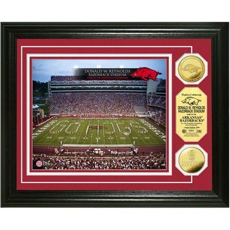 NCAA Framed Wall Art by The Highland Mint, w/ Gold Coin - Razorbacks
