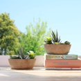 thumbnail image 4 of Artificial Succulent Dark Green Boat Shape, Simulation Plant Art Plant Fake Bonsa, 4 of 5