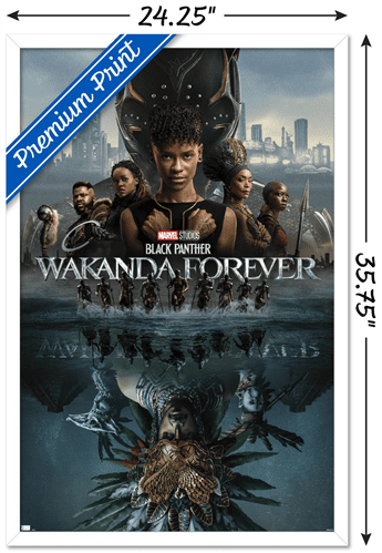 Marvel Black Panther: Wakanda Forever - One Sheet Wall Poster, 22.375" x 34" Framed