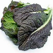 Red Garnet Mustard Green Seeds - 200 Count Seed Pack - Non-GMO - Deep red, Rounded Leaves with a Bold Spicy, Mustard Flavor. - Country Creek LLC