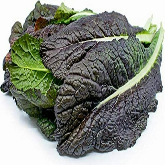 Red Garnet Mustard Green Seeds - 200 Count Seed Pack - Non-GMO - Deep red, Rounded Leaves with a Bold Spicy, Mustard Flavor. - Country Creek LLC