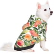 thumbnail image 2 of Haiem Fruits Peach1 for Winter Dog Hoodie Sweatshirts with Pockets Warm Dog Clothes for Small Dogs Chihuahua-XX-Large, 2 of 7