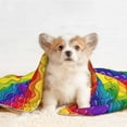 thumbnail image 4 of Pofeuu Bright Rainbow Print Puppy Blanket,Dog Blankets,Pet Blanket Cozy Cat Blankets for Indoor Cats, Fuzzy Pet Blanket for Kitten Doggy Dog Blankets-Large, 4 of 8