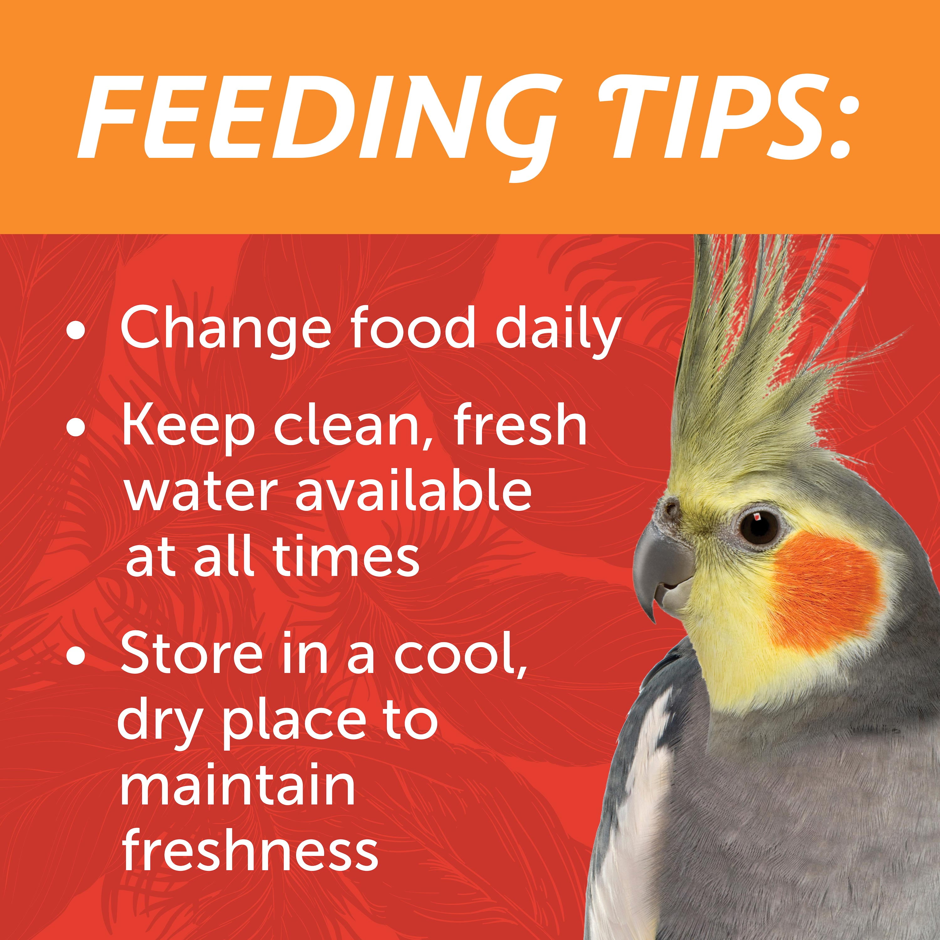 Pennington Medium Bird Blend Bird Food for Cockatiels, Love Birds; 3 lb Bag