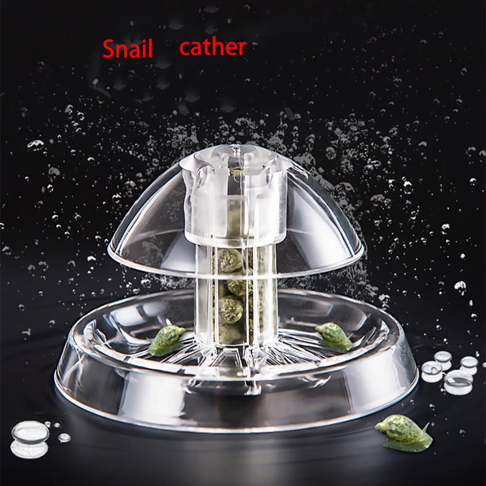 Gaiseeis Clear Snail Trap Aquarium Fish Tank Plants Planarian Leech
