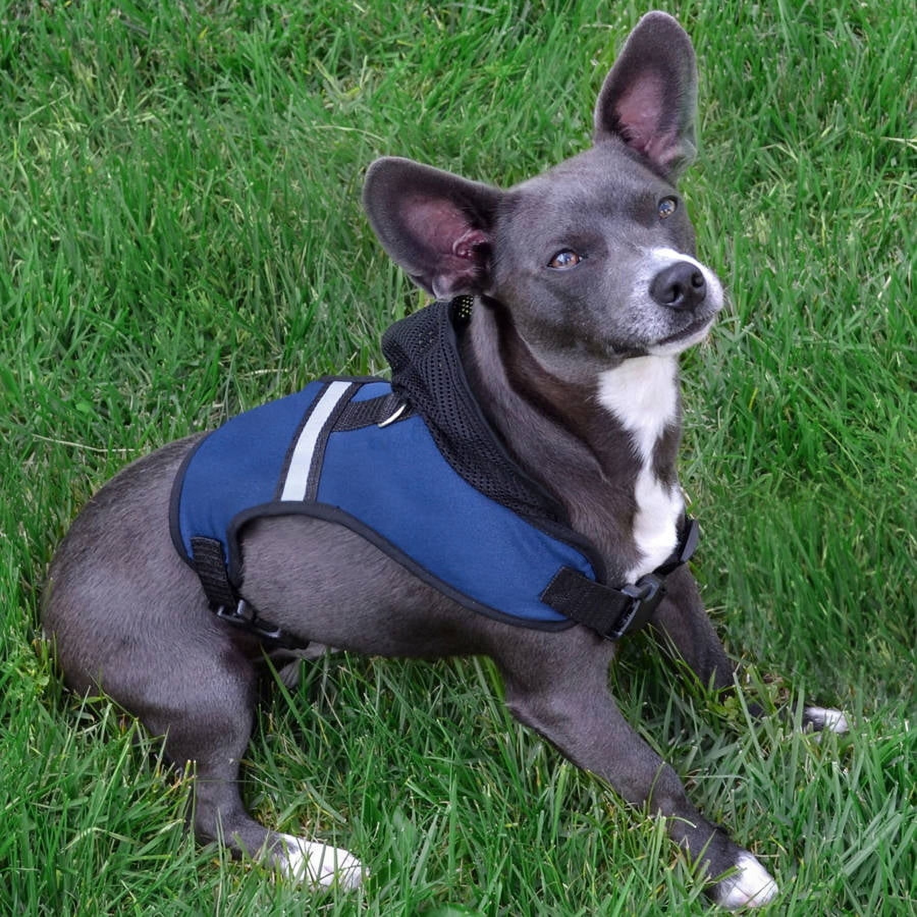 Pets First Collegiate Iowa State Cyclones Dog Harness - Football Pet Harness Vest - Dog Leash Harness - Adjustable - Small