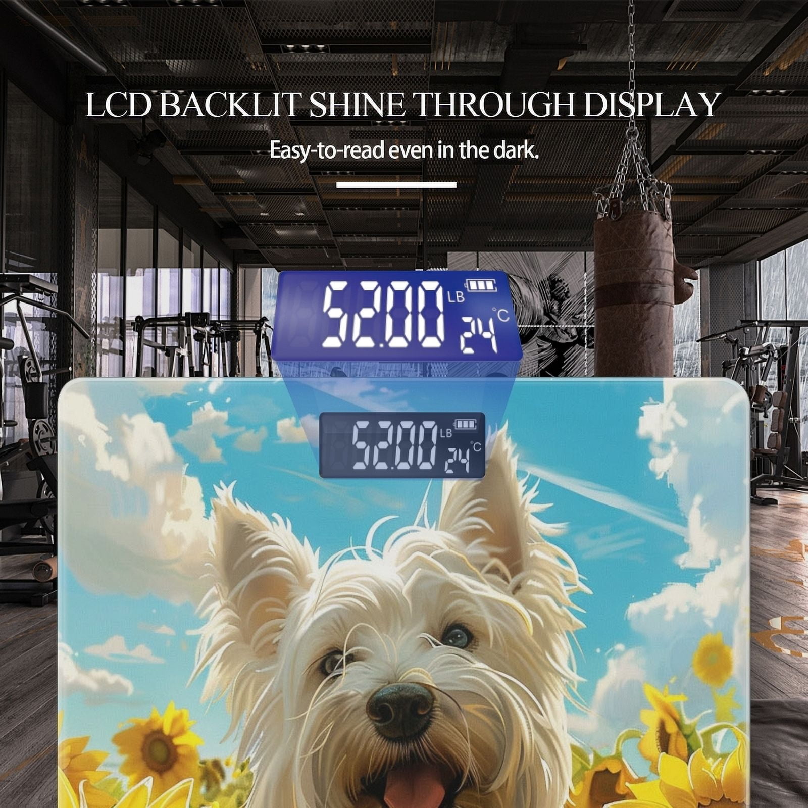 Bathroom Scale, Highly Accurate Digital Body Scale,Precisely Measures Weight up to 400 lbs-Highland White Terrier Sits Amidst Sunflowers