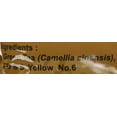 thumbnail image 2 of Pantainorasingh Thai Tea Mix, 16-Ounce Bags (Pack of 4), 2 of 3
