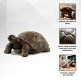 thumbnail image 3 of XBrand 21.3"L Brown and Black Concrete/MgO Walking Turtle Statue, Indoor or Outdoor Décor, Garden Décor, Turtle Statuary, 3 of 13