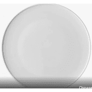 Rosenthal Thomas Ono Dinner Plate