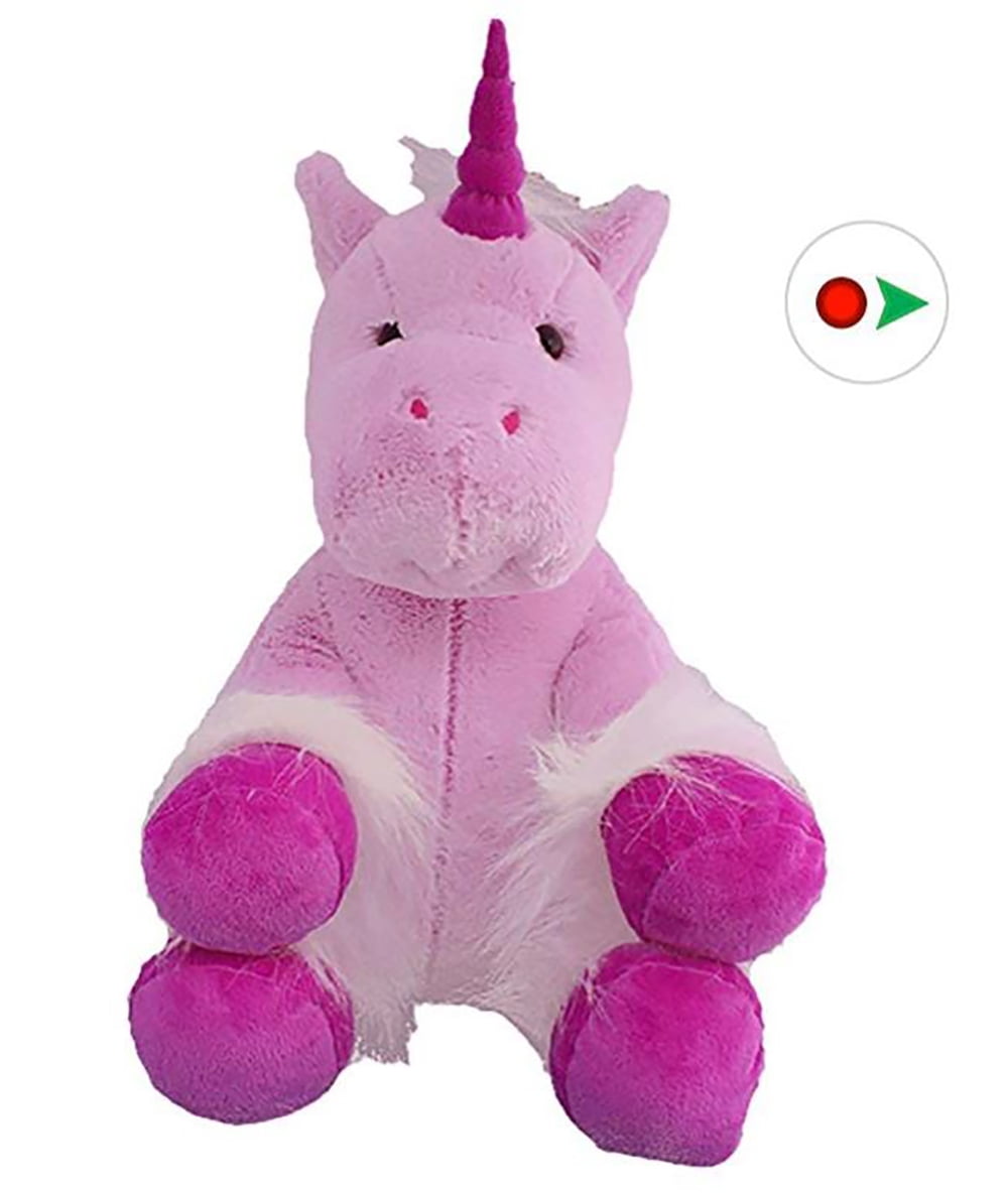 stuffed animal you can record message