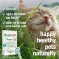 thumbnail image 4 of HomeoPet Feline HAIRBALL FURBALL Remedy Support Drops for Cats, 15 mL, 4 of 8
