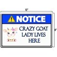 thumbnail image 3 of Tin Signs Farm House Wall Décor - Metal Sign 12 x 8 in. Notice Crazy Goat Lady Lives Here, 3 of 4