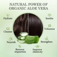 thumbnail image 4 of Aloderma Aloe Volumizing Shampoo for Fine, Brittle, & Thinning Hair - Featuring Freshly Harvested Organic Aloe Vera Infused with Arginine & Panthenol - Alcohol, Parabens, Mineral Oil Free - 16oz, 4 of 8