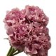 thumbnail image 3 of Wosthever Ramo de peonía artificial, flor de seda de imitación, flor falsa, boda, novia, celebración de flores, decoración de banquetes, decoración Decoración Violeta Wosthever JJ16071-02, 3 of 6