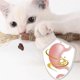thumbnail image 3 of 5-10X Juguetes para gatos Silvervine Chew Stick Golosina para gatitos Juguete para limpiar los dientes Juguetes para gatos, 10 piezas, 3 of 5