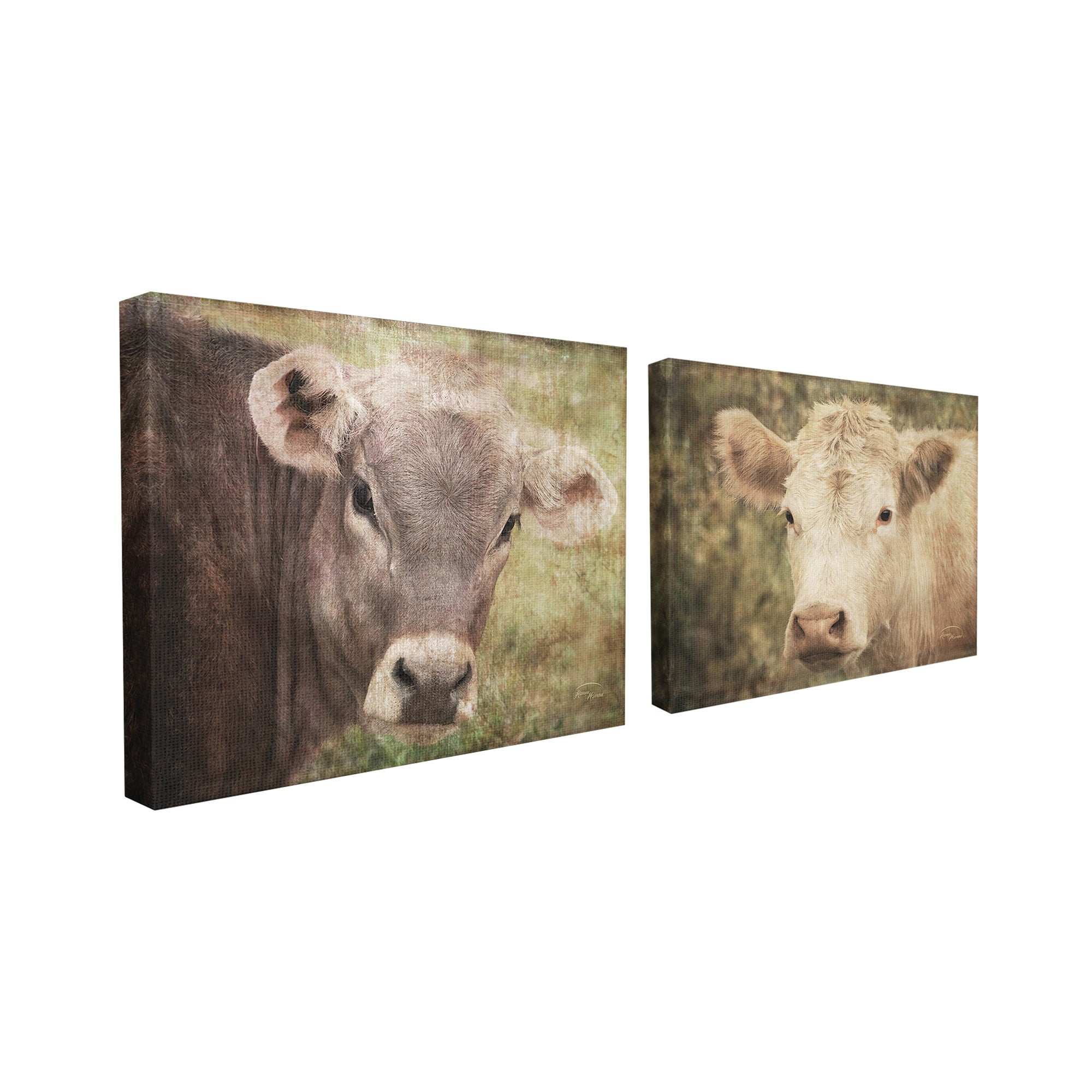 Proudly Made in USA Stupell Home Décor Abstract Color Grazing Cows Stretched Canvas Wall Art 16 x 1.5 x 20 