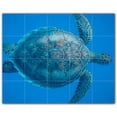 thumbnail image 1 of Picture-Tiles.com: Turtle Ceramic Tile Wall Mural WAL501067-54M. 30"W x 24"H using (20) 6" x 6" Ceramic Tiles-Satin Finish, 1 of 3