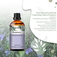 thumbnail image 3 of PHATOIL Rosemary Essential Oils for Diffusers Humidifier 100% Pure Natural Aromatherapy Massage Bath Sleep Relaxation 30ml/1.01 fl.Oz, 3 of 7
