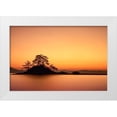 thumbnail image 1 of Seo, Tiger 18x13 White Modern Wood Framed Museum Art Print Titled - Lonely island, 1 of 4