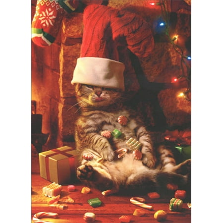 Funky Christmas Stocking Avanti Press Cat with Stocking on Head Box of 10 Funny / Humorous Christmas Cards ()