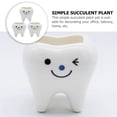 thumbnail image 4 of 3pcs Teeth Shaped Small Flowerpot Ceramics Succulents Pots Cactus Plant Pots, 4 of 6